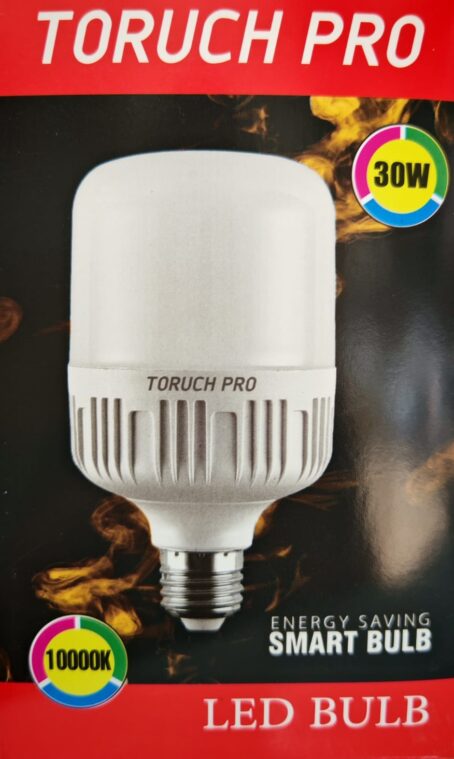 TORUCH-30W-SMART-BLUB